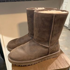 Womens chocolate leather uggs